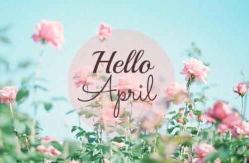 四月方框透视(稳定排位)